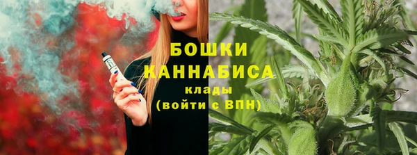 PSILOCYBIN Алексеевка